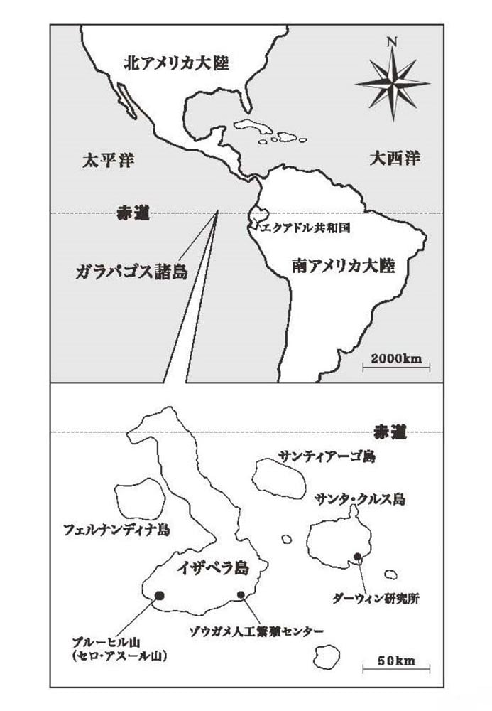 マジック・ツリーハウス　52 ガラパゴス島大噴火