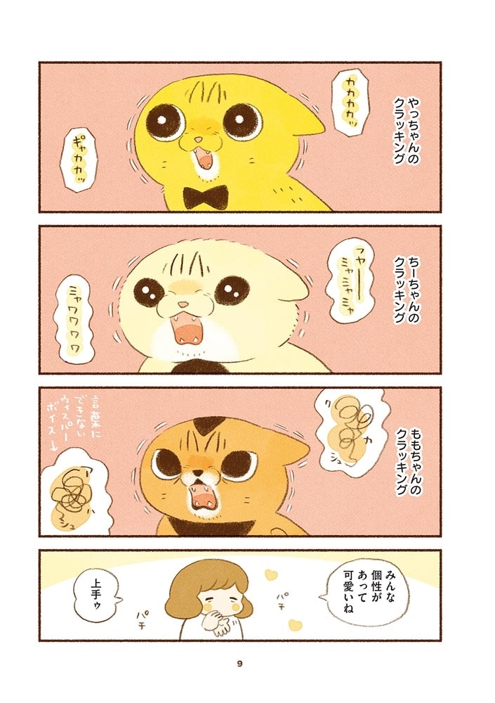 しまねこ3姉妹と暮らしています　深まるきずな編