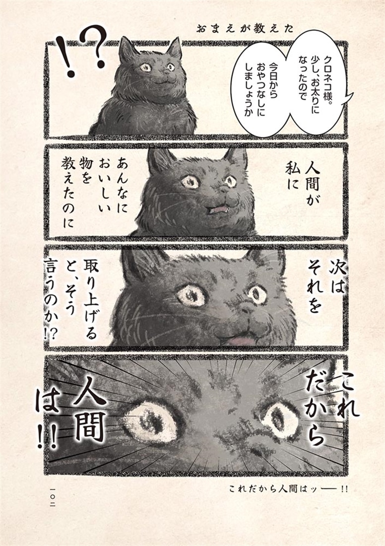 今日もネコ様の圧が強い