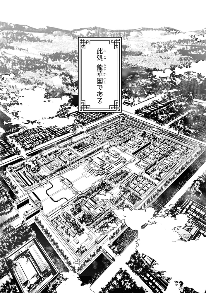 迷子宮女は龍の御子のお気に入り　（１） ～龍華国後宮事件帳～