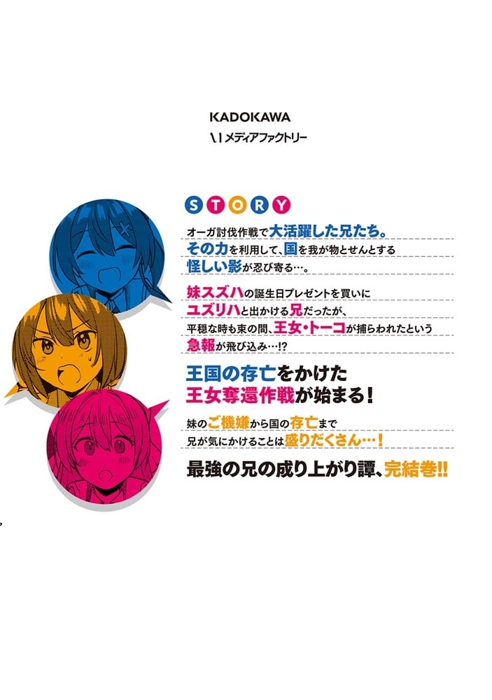 妹が女騎士学園に入学したらなぜか救国の英雄になりました。ぼくが。3