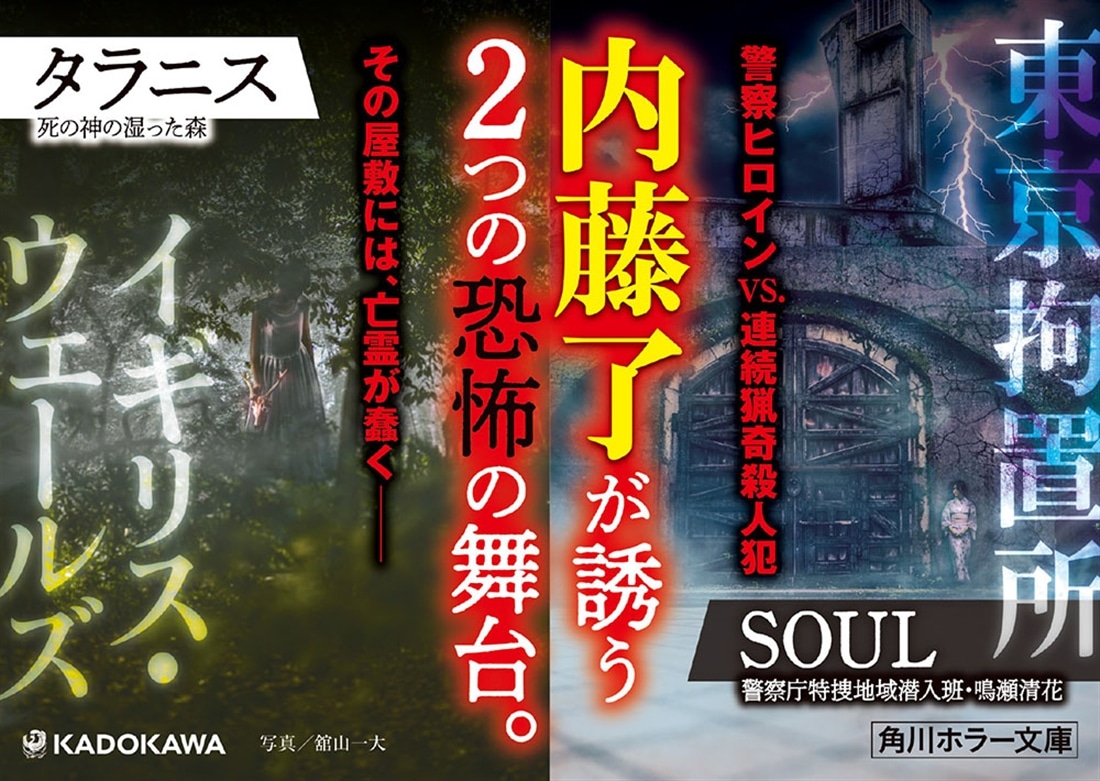 SOUL 警察庁特捜地域潜入班・鳴瀬清花