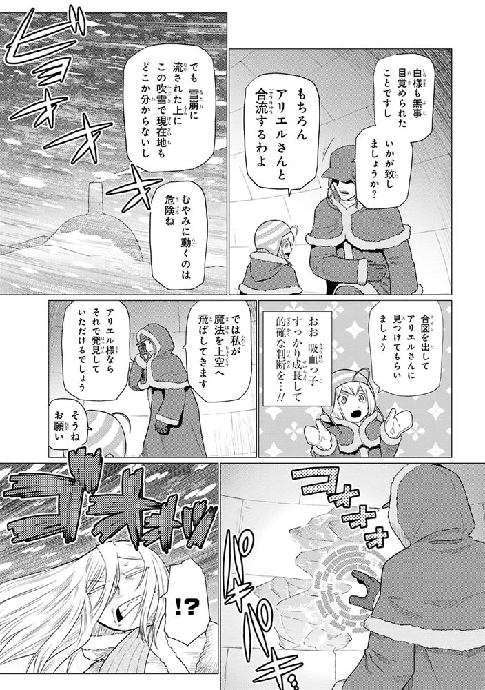 蜘蛛ですが、なにか？　（１５）