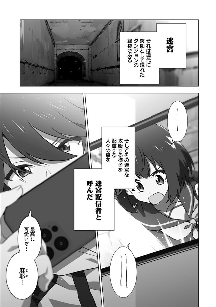 妹の迷宮配信を手伝っていた俺が、うっかりＳランクモンスター相手に無双した結果がこちらです(1)