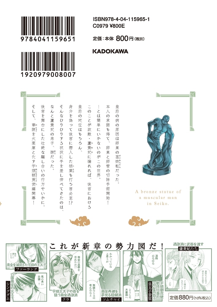 月華国奇医伝　第十三巻