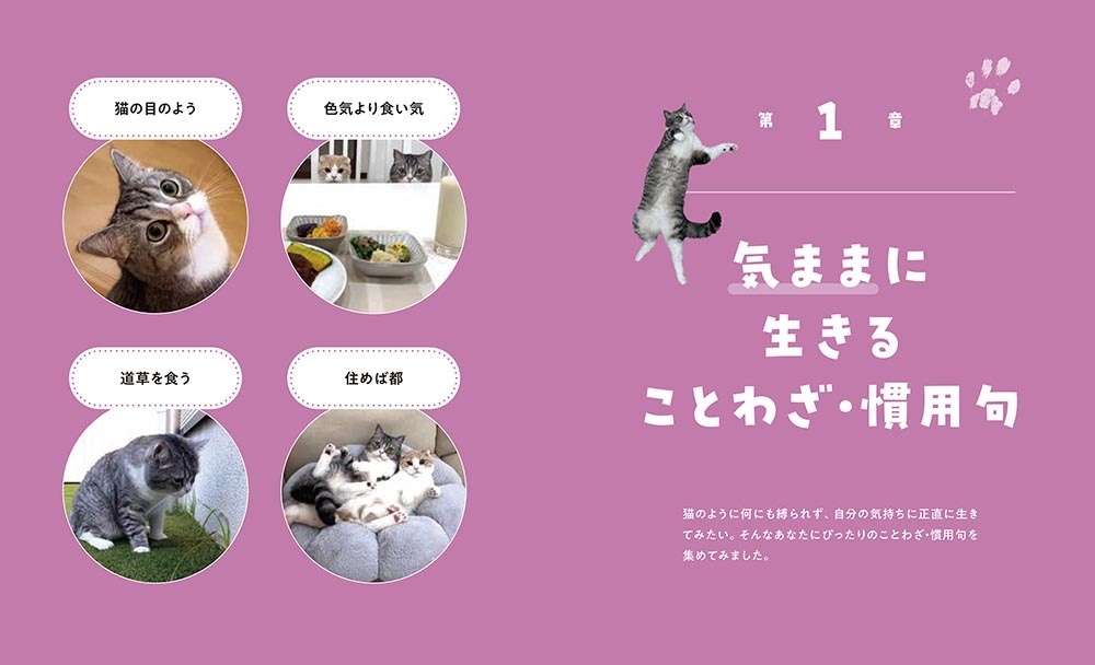 人生のヒントが見つかる　もちまる日記ことわざ・慣用句