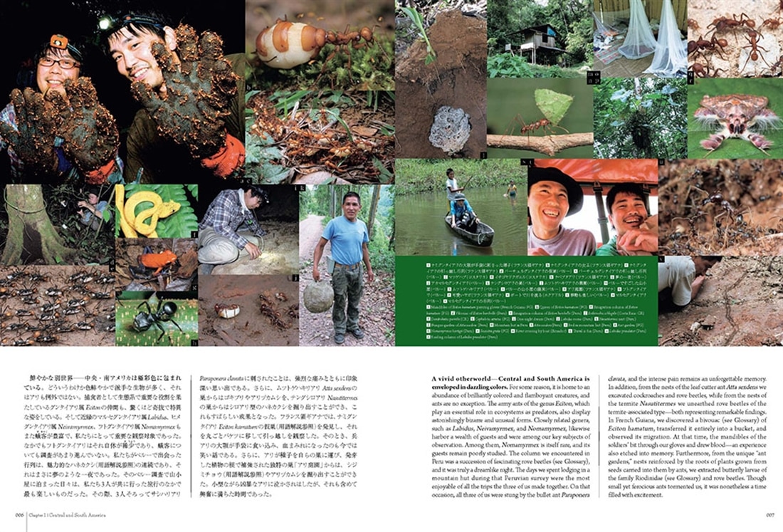 蟻客 アリと共に生きる虫たち