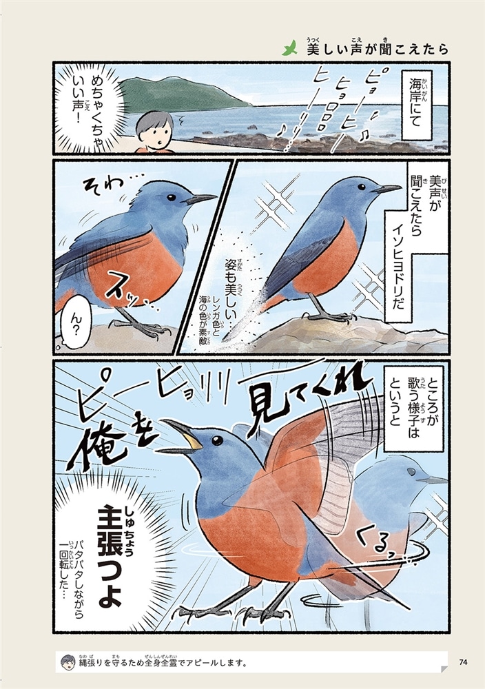 まだまだ！意外と知らない鳥の生活