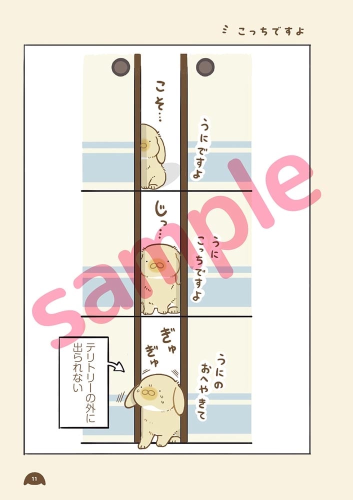 うちのうさぎは今日ものんびり