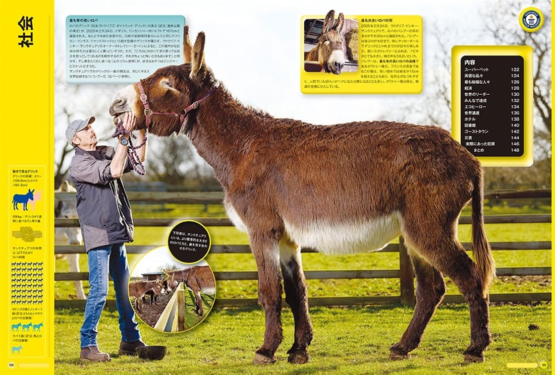 ギネス世界記録2026