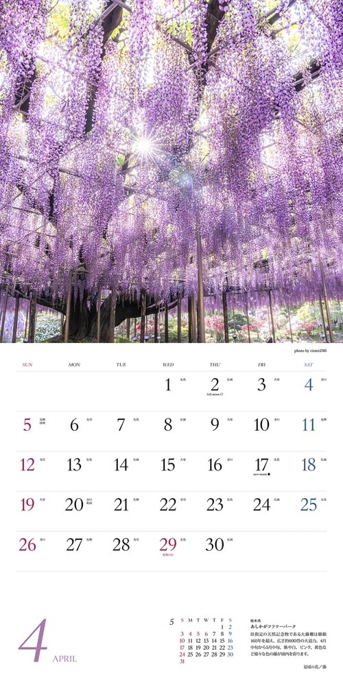 にっぽんの花地図　絶景カレンダー２０２６