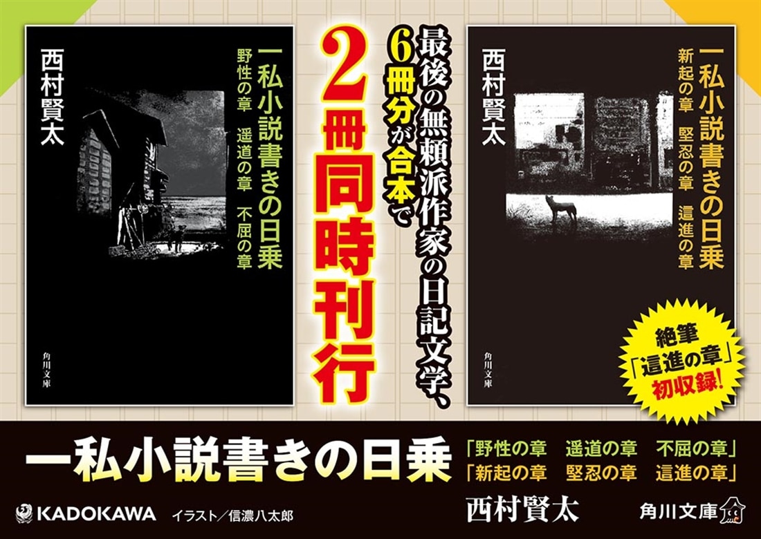 一私小説書きの日乗 新起の章　堅忍の章　這進の章