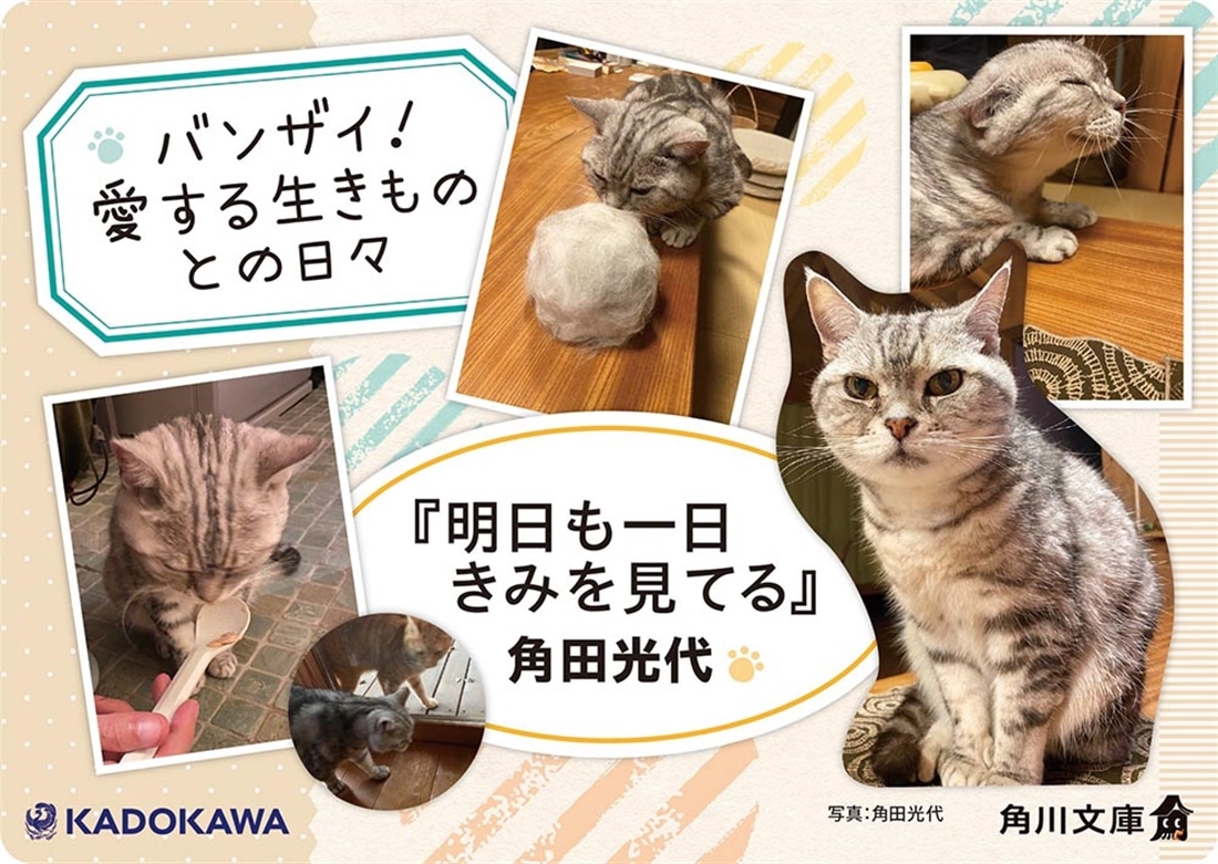 明日も一日きみを見てる