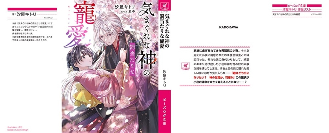 気まぐれな神の罰当たりな寵愛