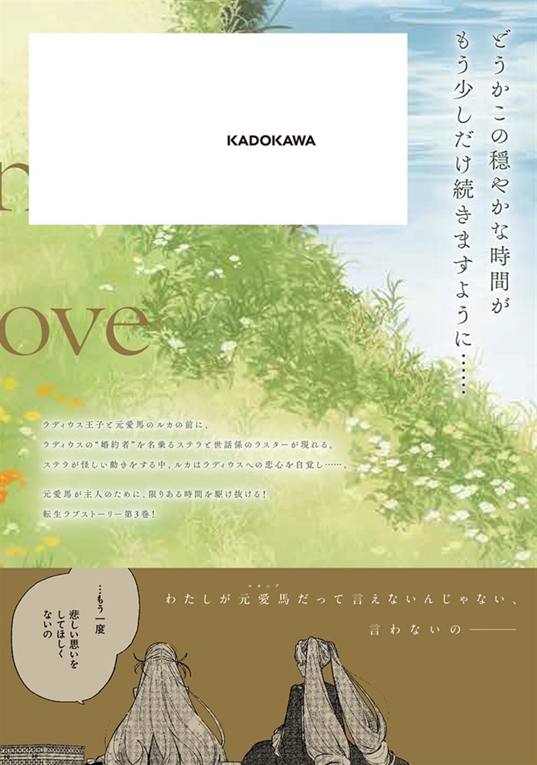 前世冷徹王子の馬でした ～人になっても貴方を愛していいですか？～ 3