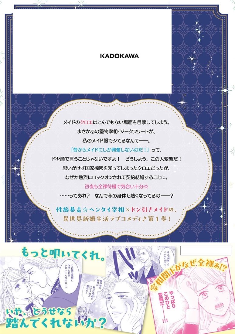 不覚にも堅物宰相閣下の秘密を知ってしまったので全力で逃げたい（１）
