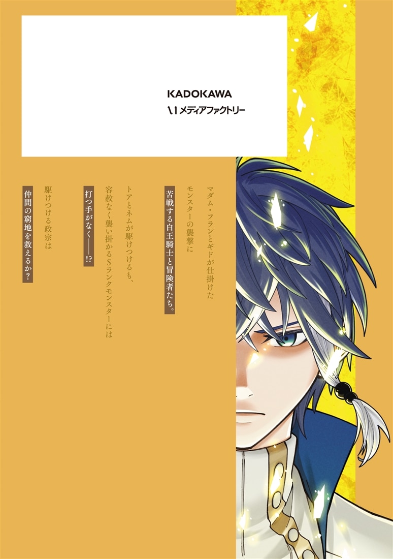 ニトの怠惰な異世界症候群 ～最弱職＜ヒーラー＞なのに最強はチートですか？～　8