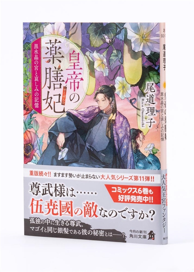 皇帝の薬膳妃 黒水晶の宮と哀しみの記憶