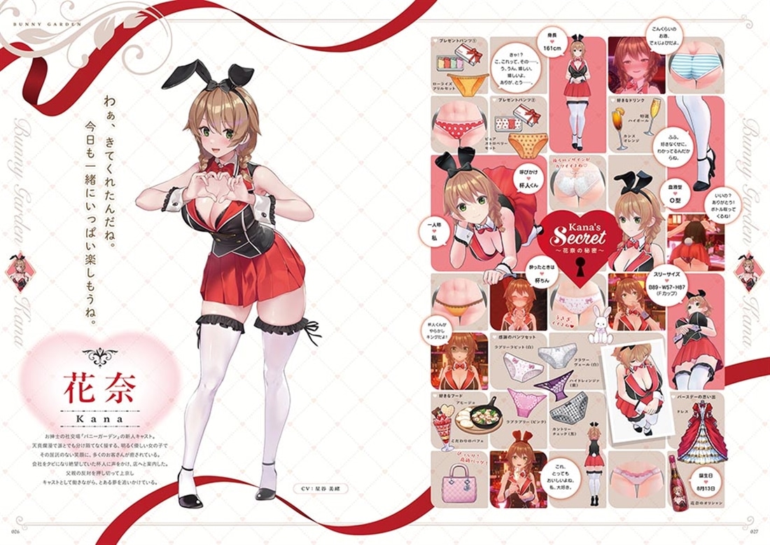 バニーガーデン＆へべれけ ばにーがーでん 公式ビジュアルファンブック 書籍単品