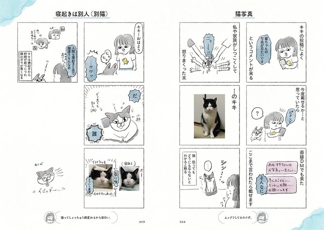 うちの猫は今日も塩対応