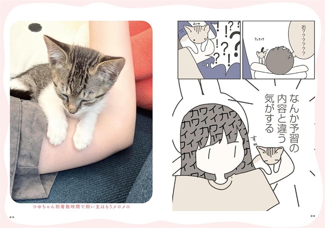 ねこのつゆちゃんのことで頭がいっぱいです