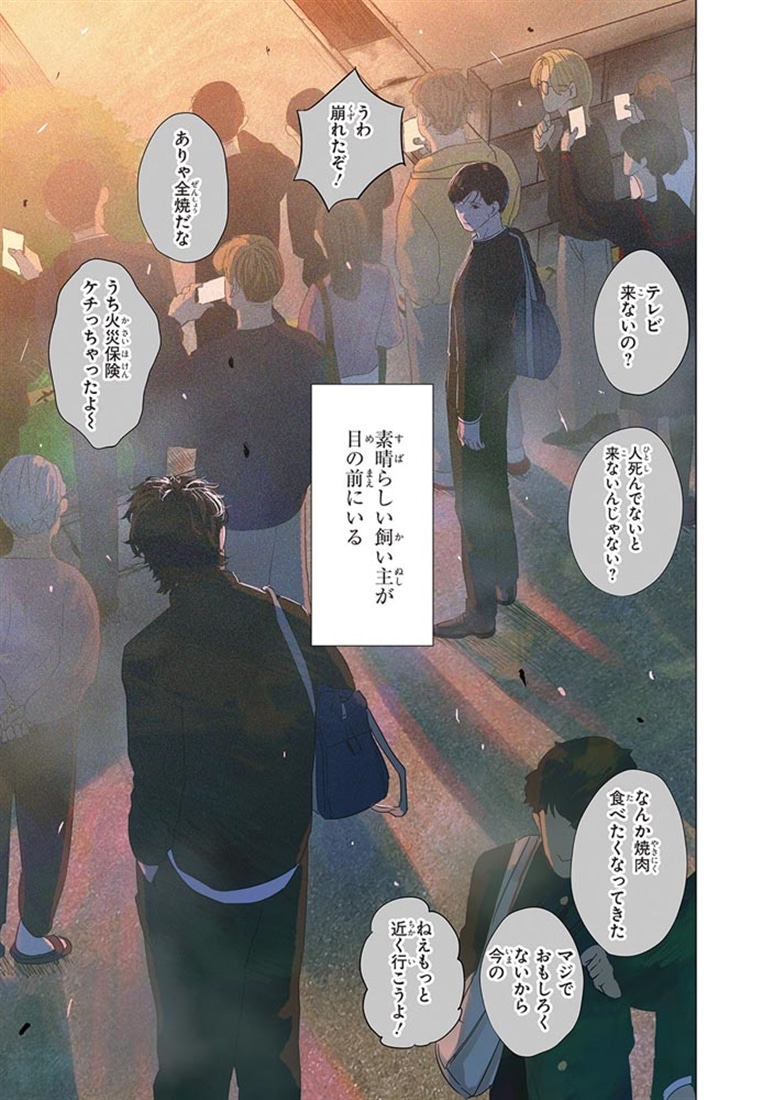 君が言うには犬の恋　上