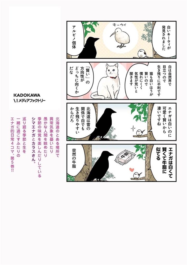 永久機関シマエナガ‐シマエナガとカラスさん‐ごはいめっ！