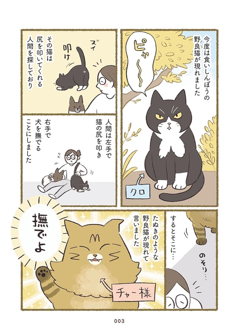犬猫３匹、撫でても撫でても手が足りない