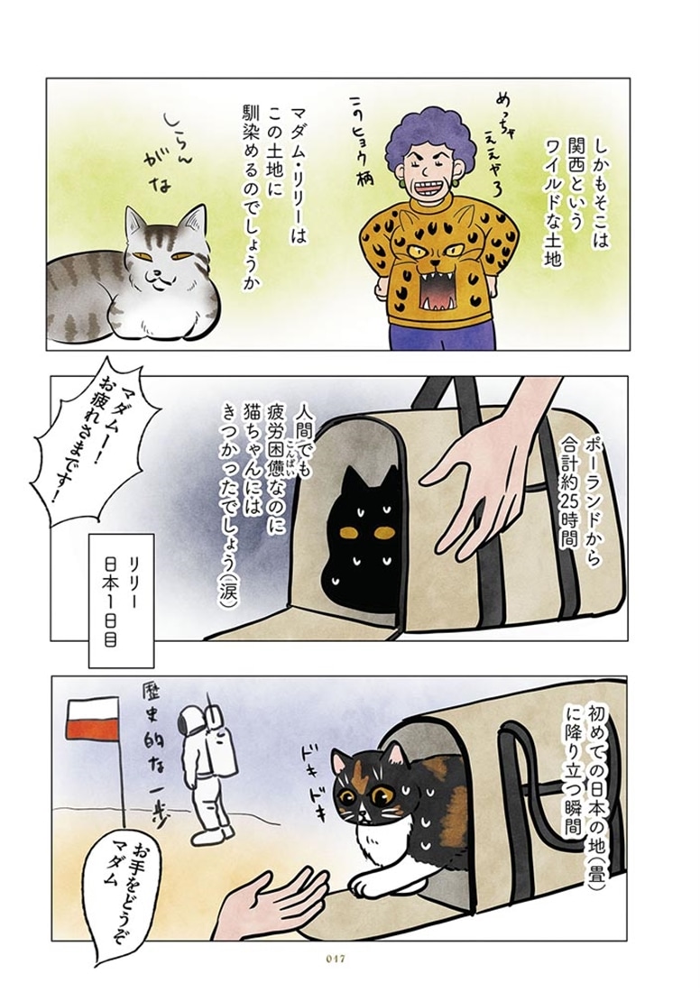 ポーランドからやってきた マダム猫の古民家暮らし