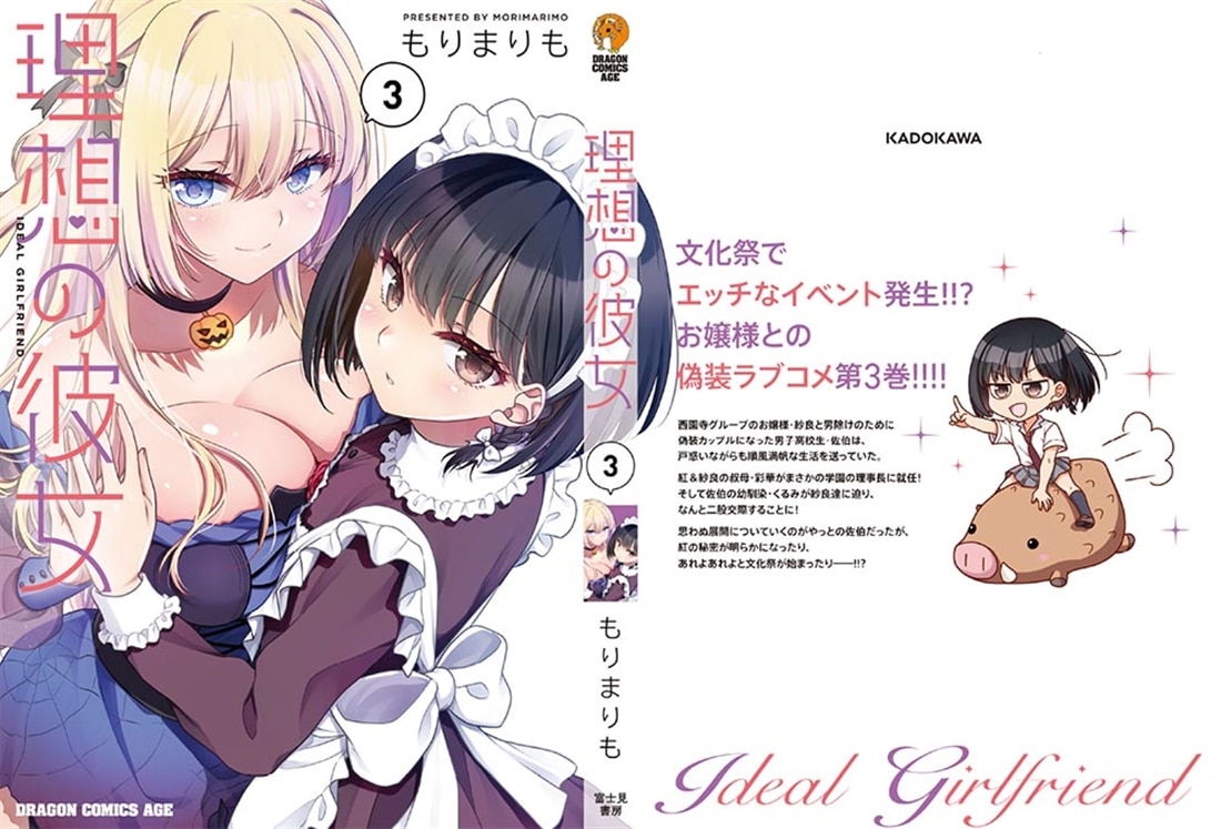 理想の彼女 3