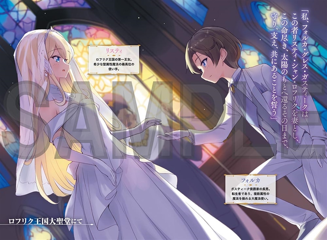 貧乳教徒の大魔法使い、胸が小さいと女性扱いされない世界で無双する まず、ちっぱい王女様と結婚します