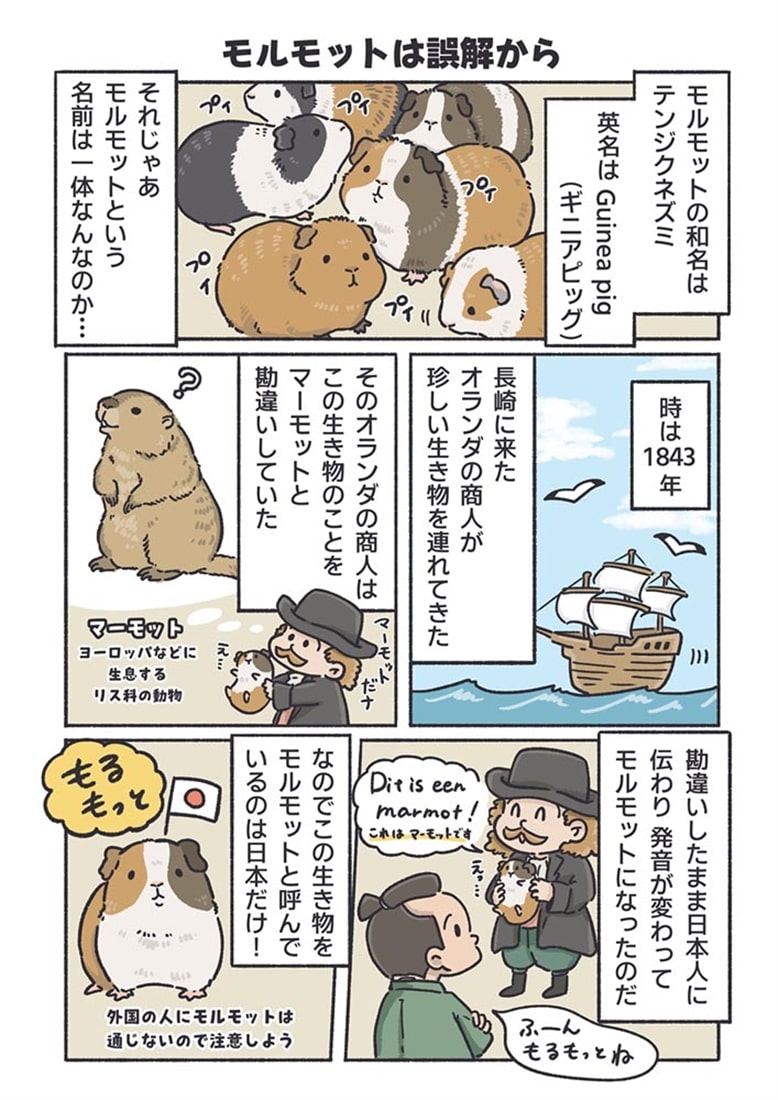 飼育員が教える！ 動物園が100倍楽しくなるどうぶつ図鑑