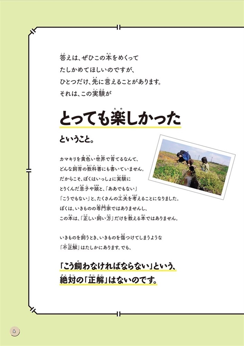 図鑑いきもの飼ってみた カマキリを黄色い世界で育てたらどうなる？