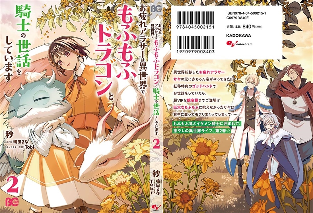 お疲れアラサーは異世界でもふもふドラゴンと騎士の世話をしています 2