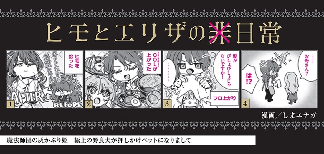 魔法師団の灰かぶり姫 極上の野良犬が押しかけペットになりまして