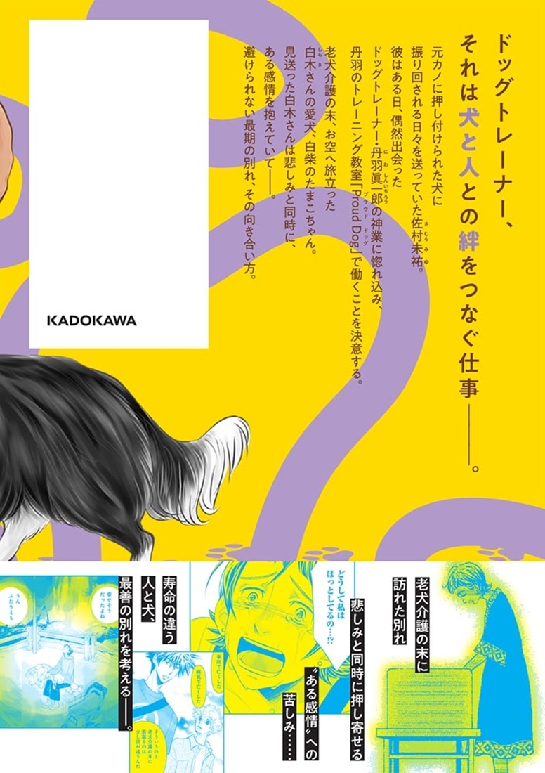 DOG　SIGNAL　16