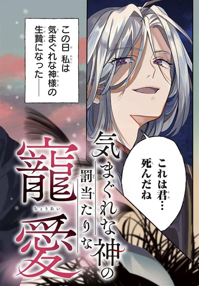 気まぐれな神の罰当たりな寵愛　1