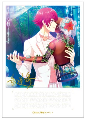 夢色キャスト 公式ファンブック2 ebtenDXパック【愛し君へ】朱道 岳セット 朱道 岳 ※4月中旬出荷分