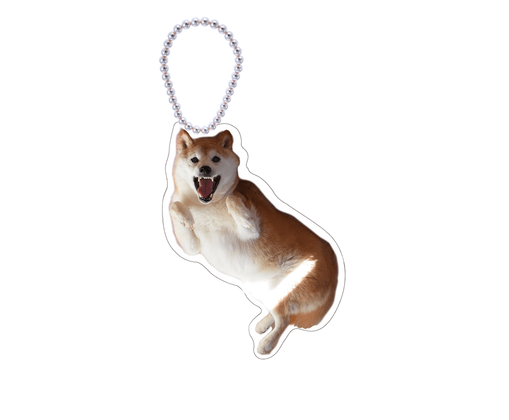 ぬいぐるみキーホルダー付き「かぼすちゃんと、ずうっとおさんぽ。」バッグ （ブラック）