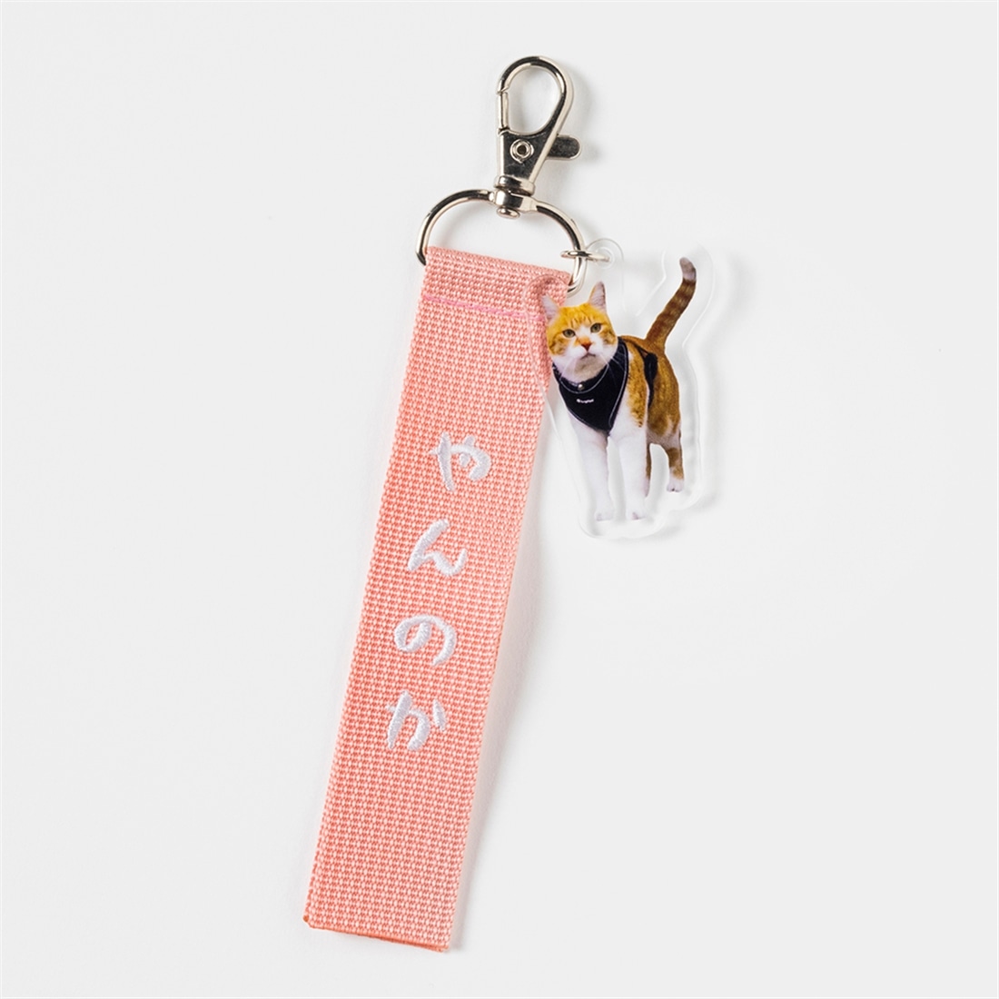 元野良猫チャチャ　ミニトートバッグ＆ストラップ付アクリルキーホルダーセット【特典ステッカー付】