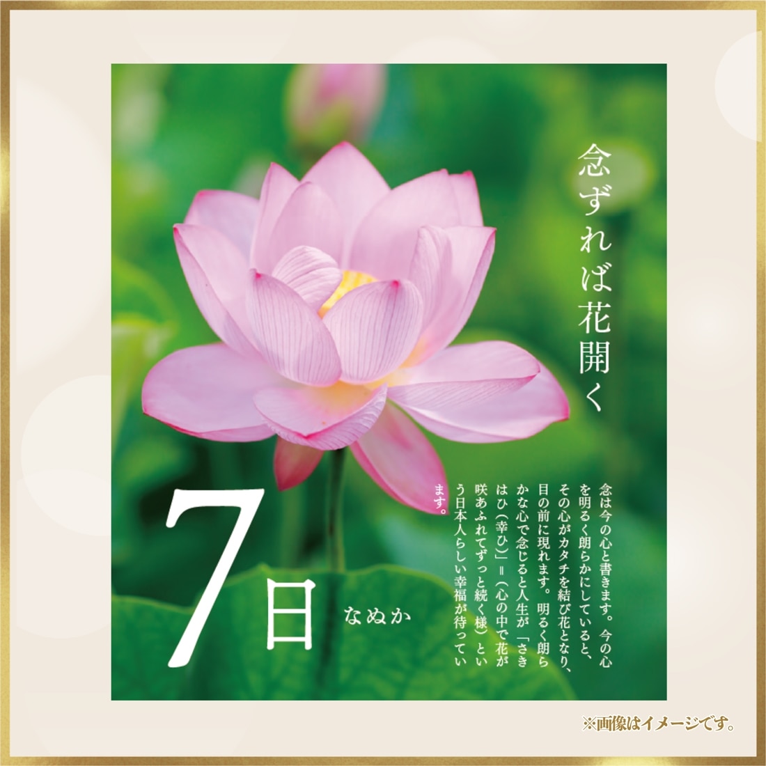 【カドスト限定】『中井耀香の金運上昇カレンダー2027　魂ふり』特装版（直筆サイン入り 超・大開運日めくり＆スケジュールシール付き）