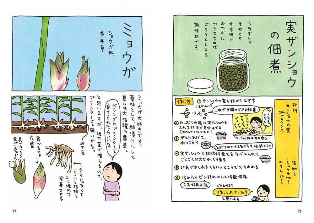 うちの香草 育てる 食べる 薬味とハーブ18種