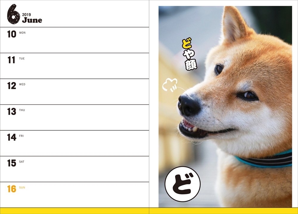 2019年　柴犬まるスケジュール帳