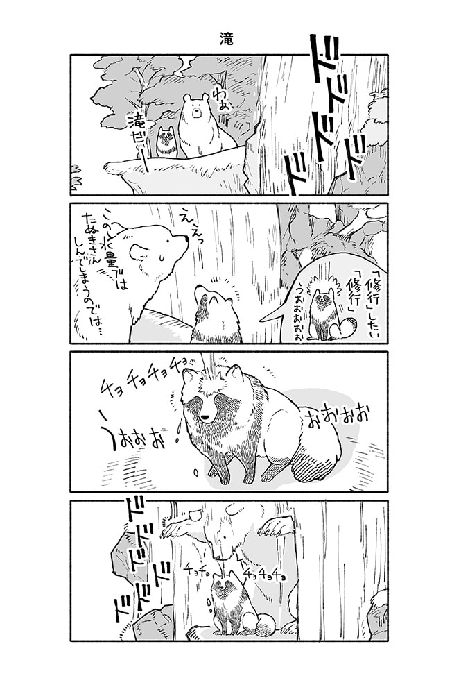 クマとたぬき