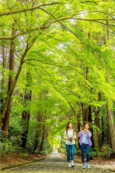 涼しい！緑の絶景ハイキング ウォーカームック