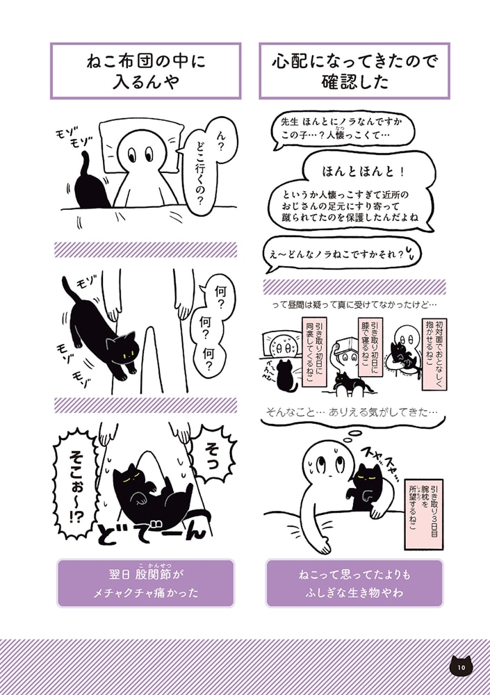 黒猫ろんと暮らしたら