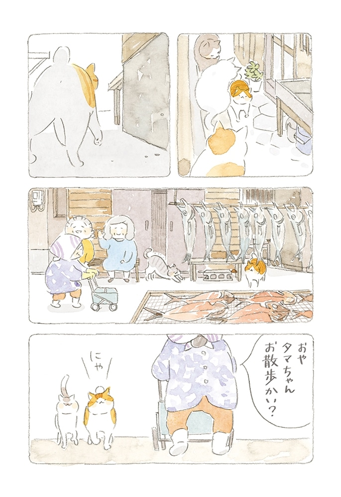 ねことじいちゃん（６）