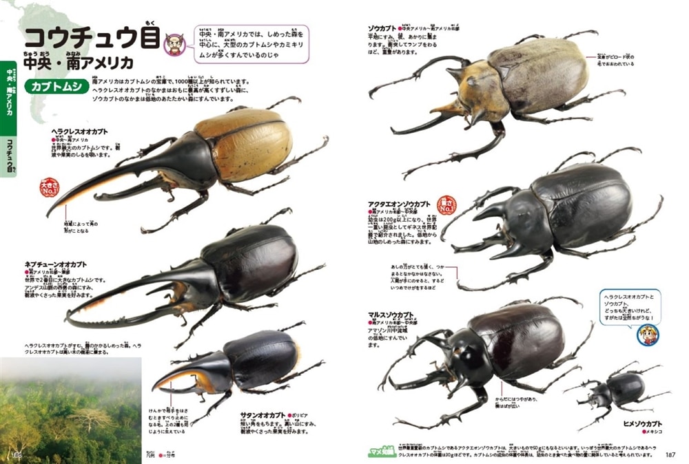 角川の集める図鑑ＧＥＴ！ 昆虫