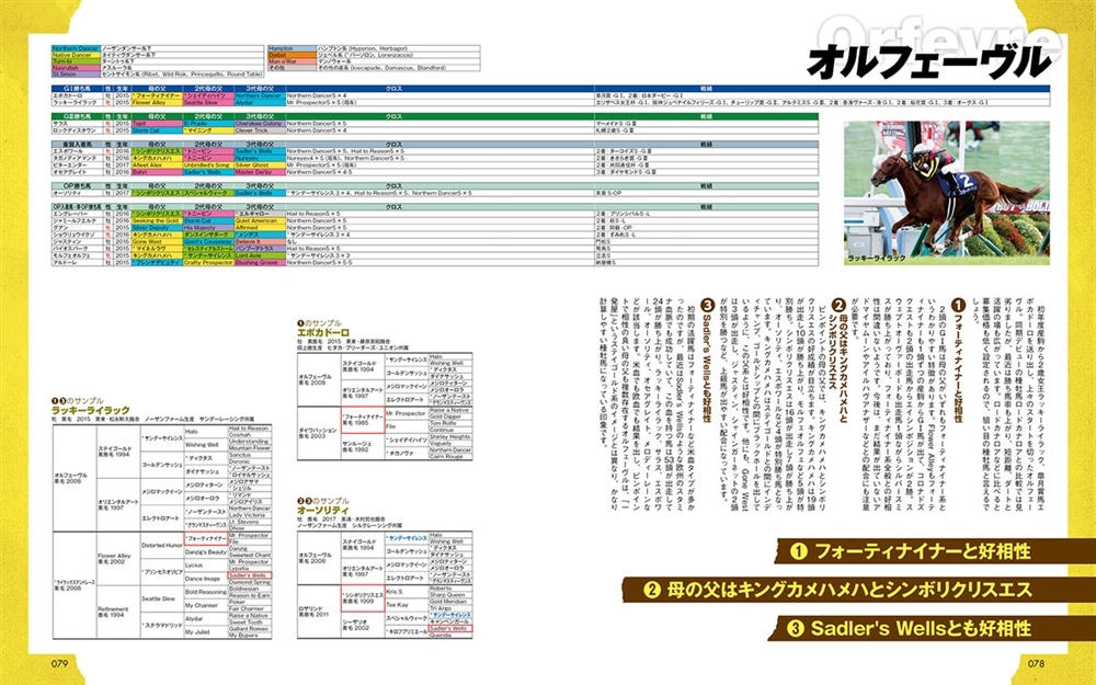 一口馬主＆ＰＯＧ攻略読本 愛馬選びはここを見よ！