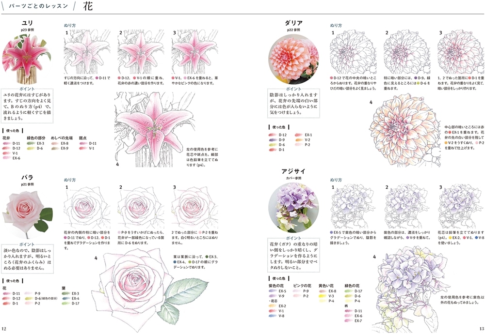 色鉛筆でぬる 『花時間』花ぬり絵 人気の花とリース